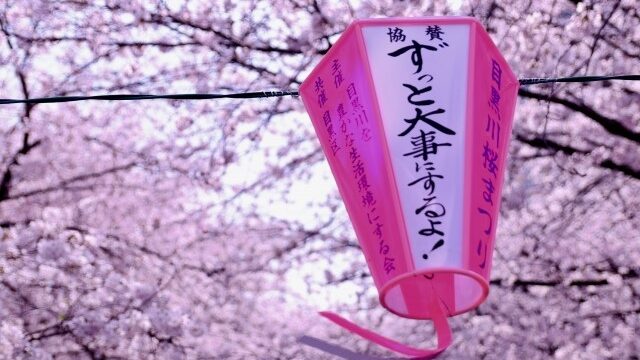 黒川 2022 目 桜 目黒川の桜2022の見頃や開花は？桜まつりやライトアップは？クルーズは？