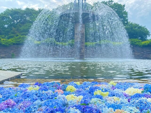 昭和記念公園の噴水