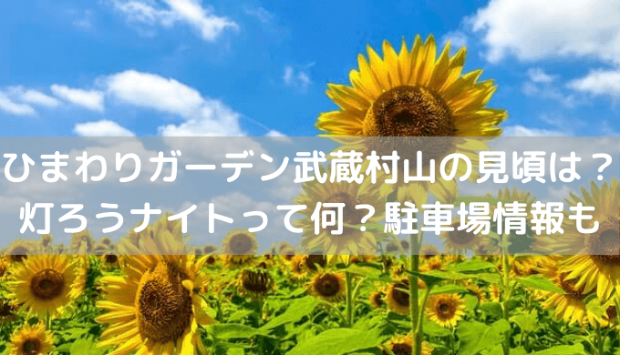 ひまわりガーデン武蔵村山22の見頃は 灯ろうナイトって何 駐車場情報も セロリのひとりごと