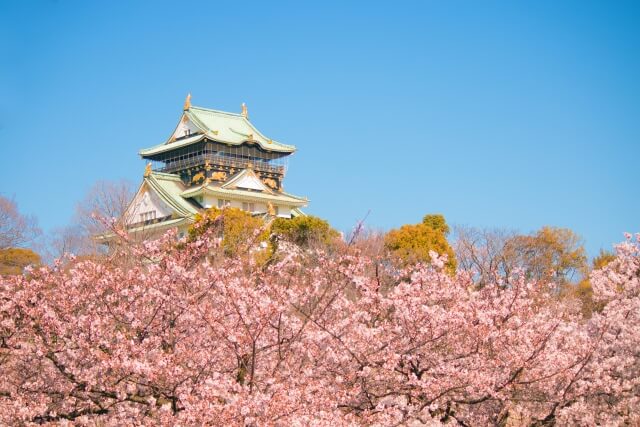 大阪城公園の桜花見